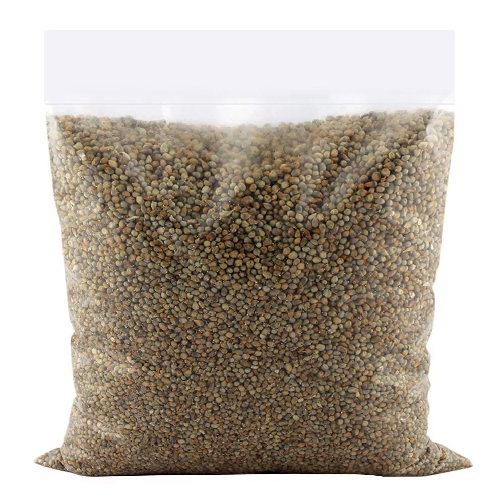 Bajra Seeds