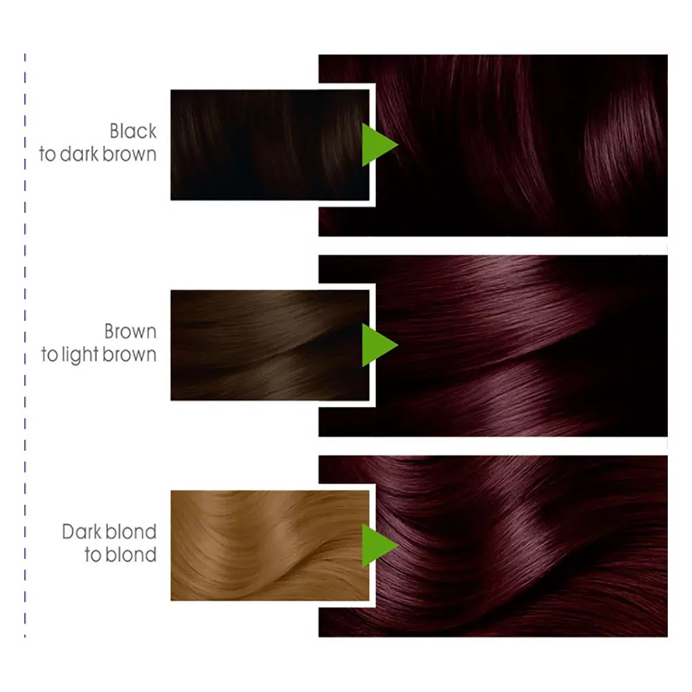 Garnier Color Natural Hair Color 3