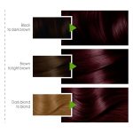 Garnier Color Natural Hair Color 3.6