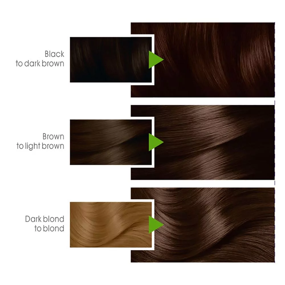 Garnier Color Natural Hair Color 4