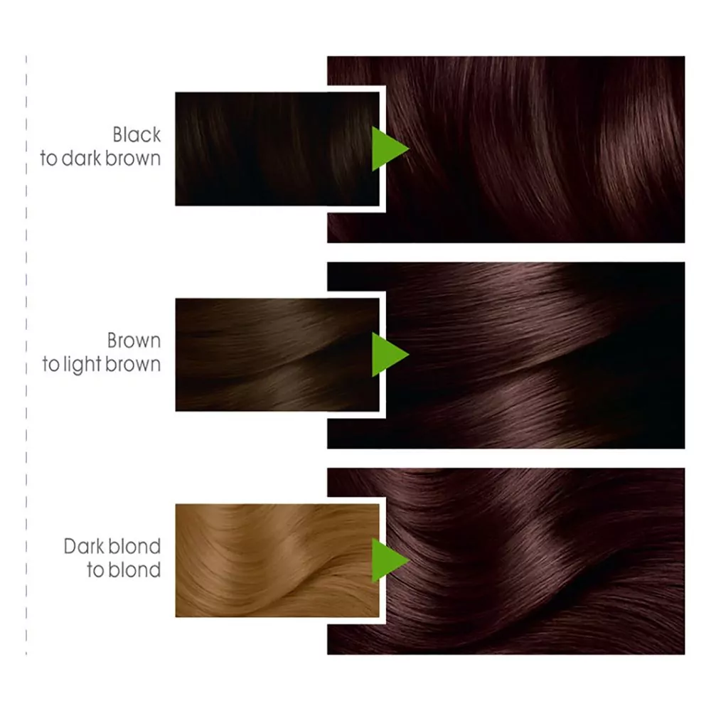 Garnier Color Natural Hair Color 4.15