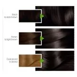 Garnier Color Natural Hair Color 4.3