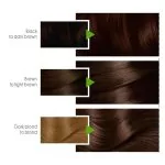 Garnier Color Natural Hair Color 4.7