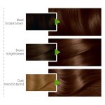 Garnier Color Natural Hair Color 5.15