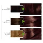 Garnier Color Natural Hair Color 5.25