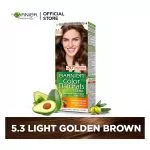 Garnier Color Natural Hair Color 5.3