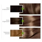 Garnier Color Natural Hair Color 6.1