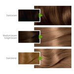 Garnier Color Natural Hair Color 6.3
