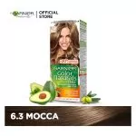 Garnier Color Natural Hair Color 6.3