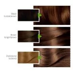 Garnier Color Natural Hair Color 6.34