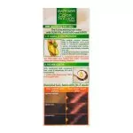 Garnier Color Natural Hair Color 6.66