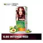 Garnier Color Natural Hair Color 6.66