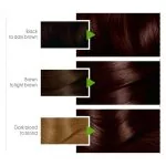 Garnier Color Natural Hair Color 6.7