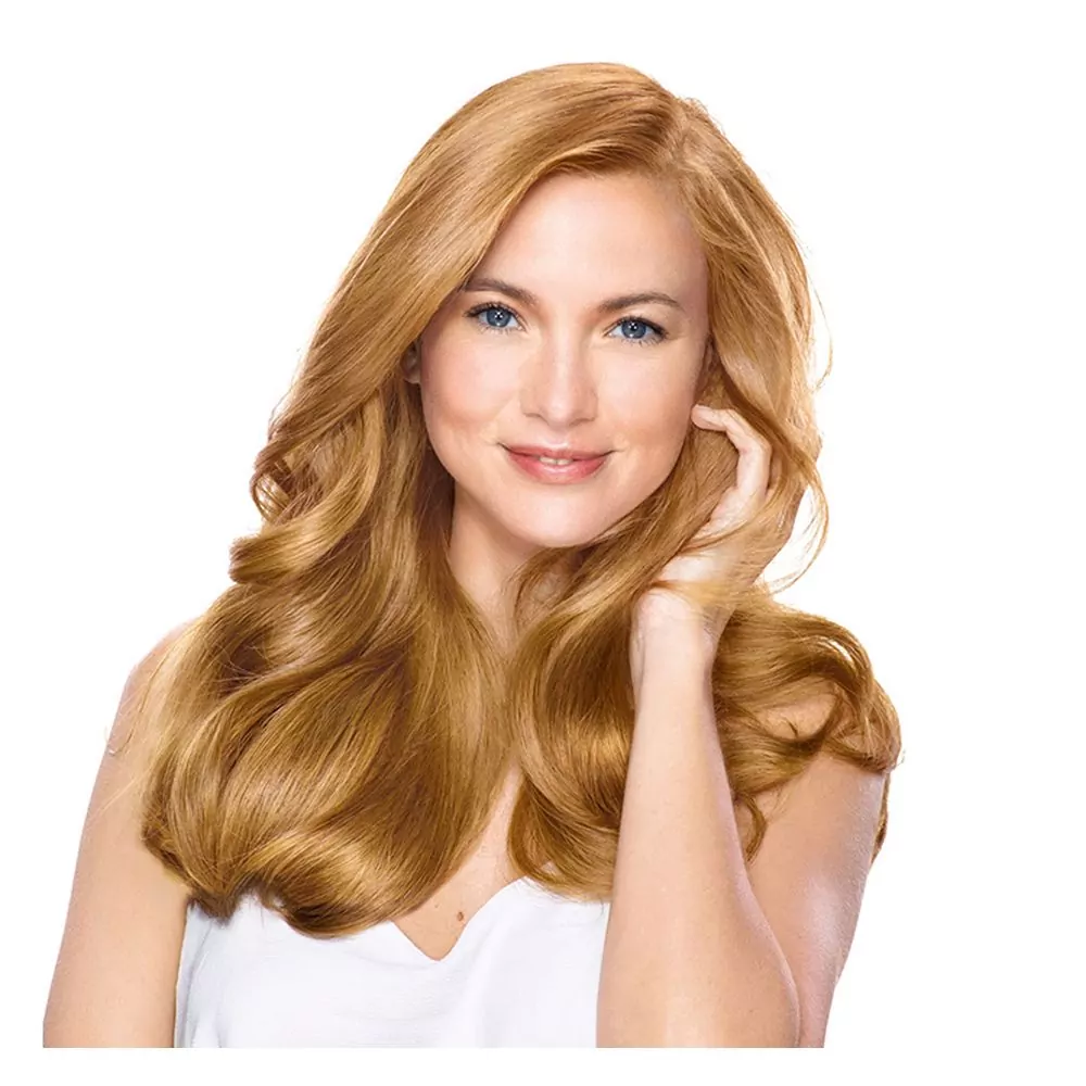 Garnier Color Natural Hair Color 7.3