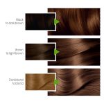 Garnier Color Natural Hair Color 7.7