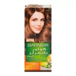 Garnier Color Natural Hair Color 7.7