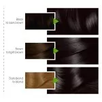 Garnier Color Naturals Creme Hair Colour, 2 Soft Black