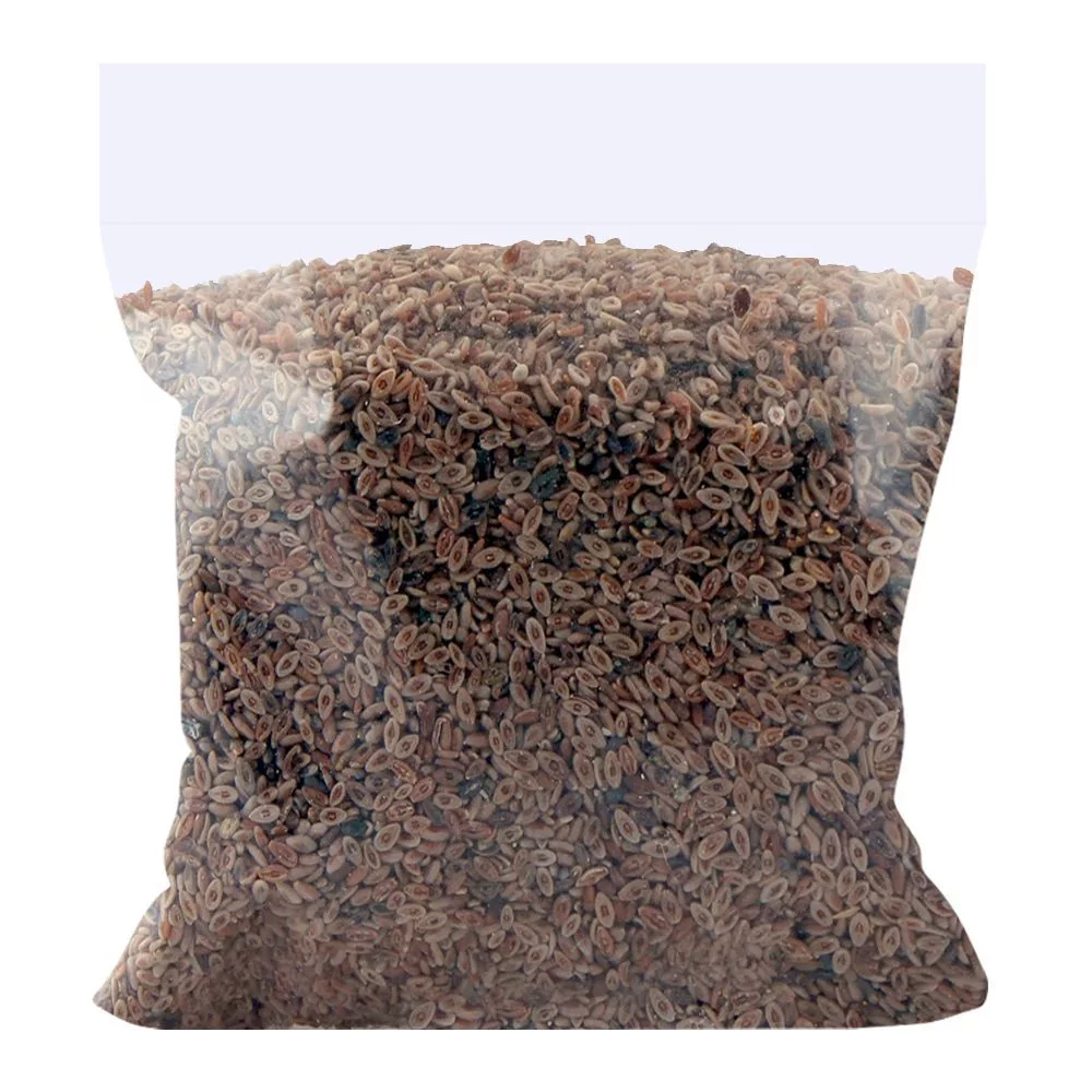 Ispaghol Sabit (Psyllium Husk)