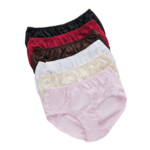 Amoreena Brief Underwear