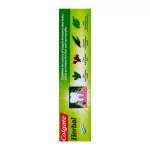 Colgate Herbal Toothpaste 100gm