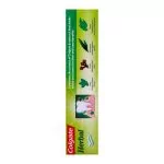 Colgate Herbal Toothpaste 150gm