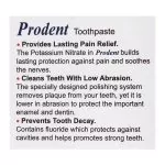 Prodent Toothpaste 100gm