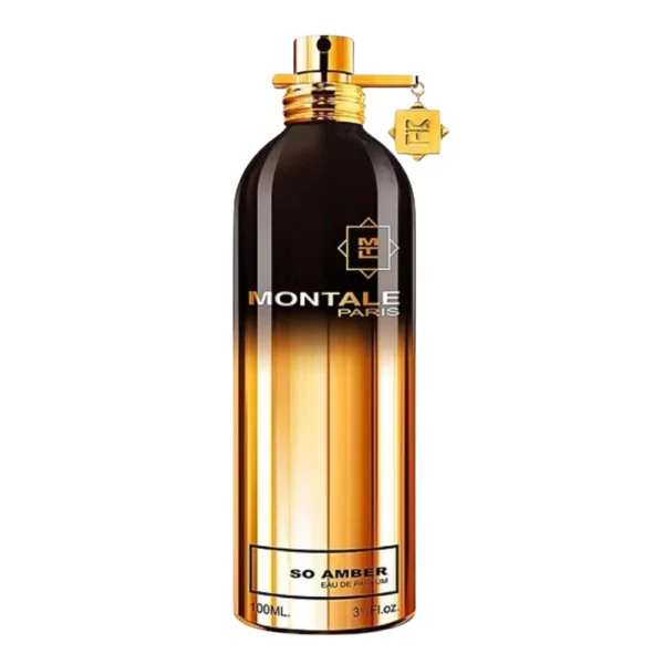 100ml bottle of Montale So Amber Perfume EDP, a sensual unisex fragrance blending warm amber and floral notes in an elegant design.