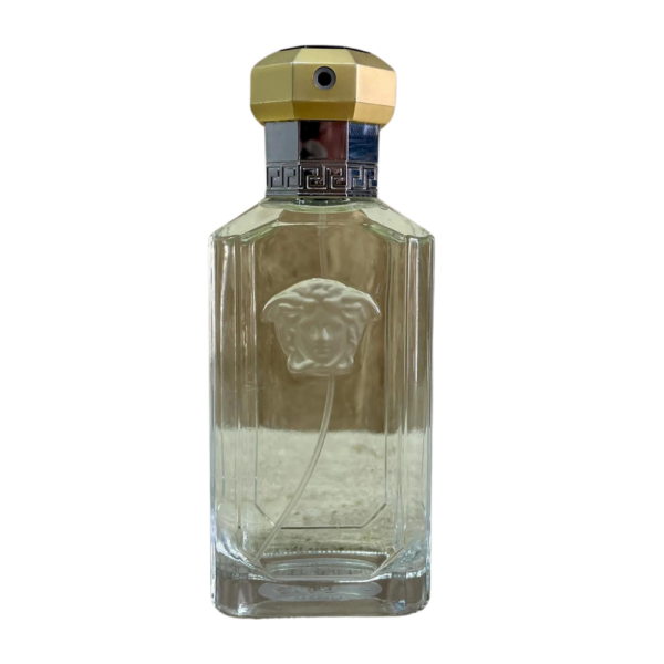 Versace The Dreamer EDP 100ml bottle for men featuring a fresh and floral fragrance with tobacco blossom and amber.